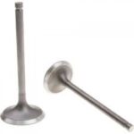 FREEDOM 50- 118
EMME-EKSOZ SİBOBU