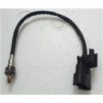 CAPPUCINO - 497
EKSOZ MÜŞÜRÜ