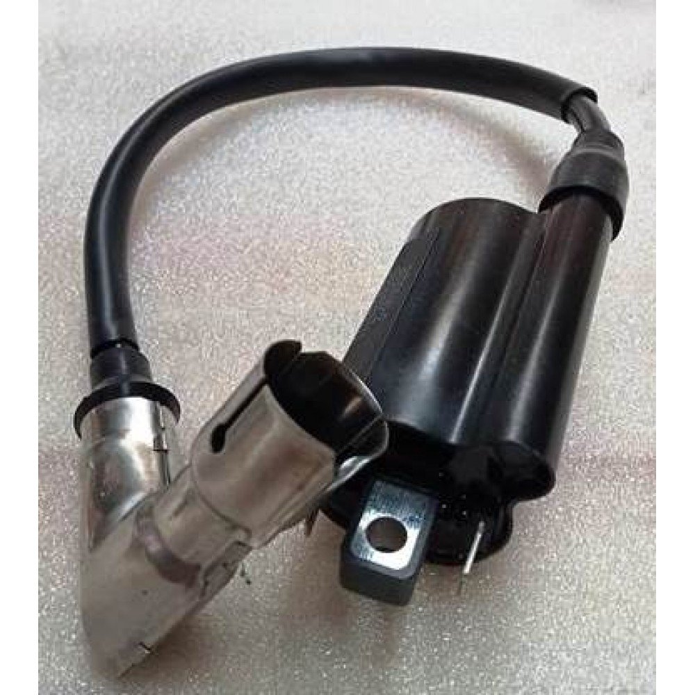 ATV HECTOR- 058
ATEŞLEME BOBİNİ_6997815912063.jpeg ATV HECTOR- 058
ATEŞLEME BOBİNİ - Görsel 1