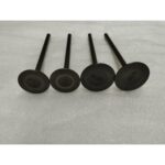 GT 250MAX- 002
EMME-EKSOZ SİBOBU