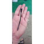 MAX-T 042
DERECE MÜŞÜRÜ