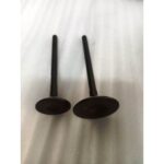 MAX-T 127
EMME-EKSOZ SİBOBU