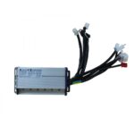 PANTER 249-004
BEYİN 72V.