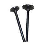 MOJITO 125 - 042
EMME-EKSOZ SİBOBU