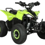 Arora RAPTOR ATV Elektrikli